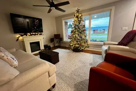 30 something living room at Christmas