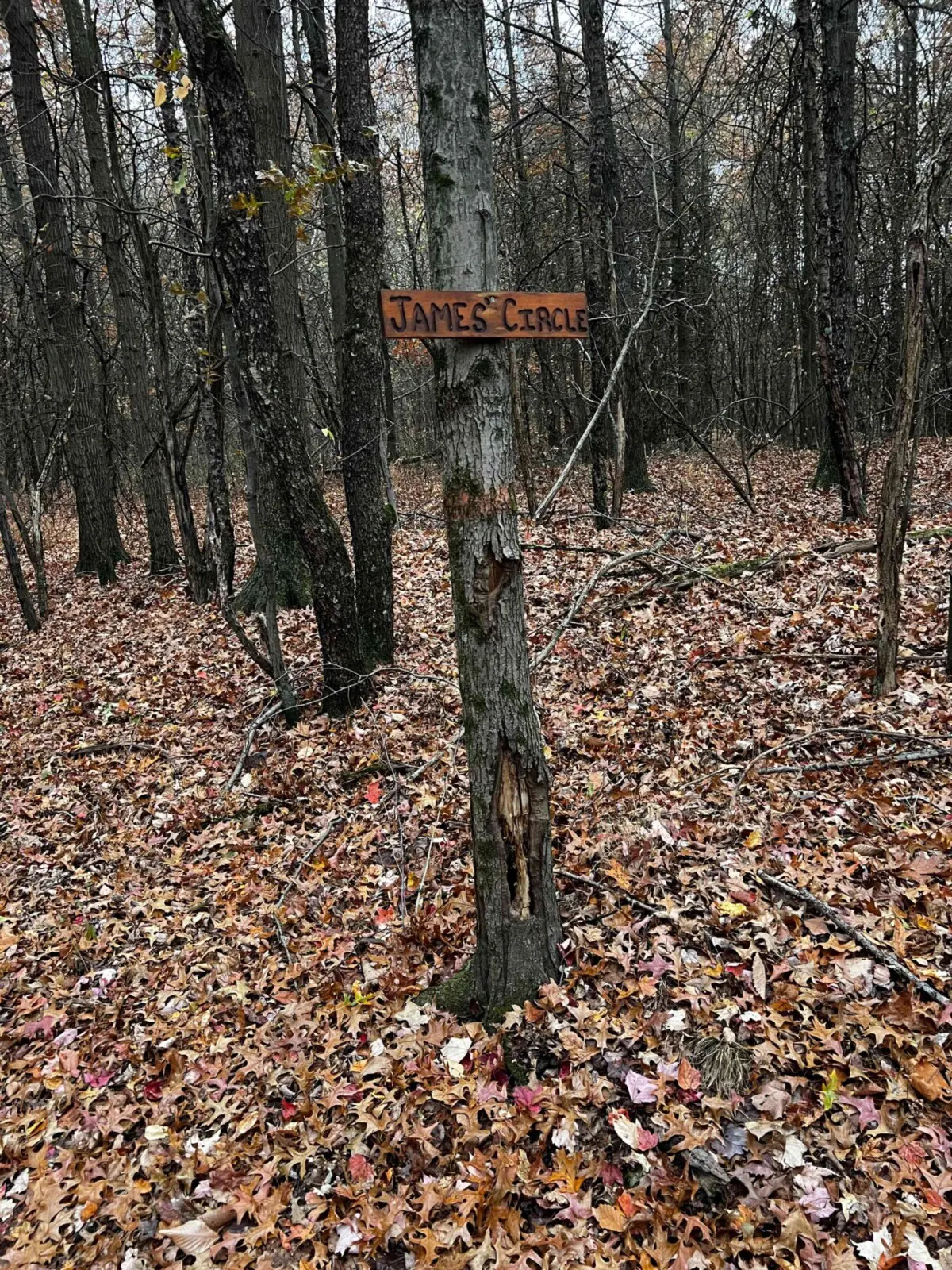 Hilton's Hideaway Hiking Paths