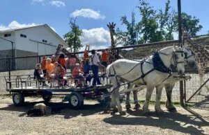 The Farm at Walnut Creek