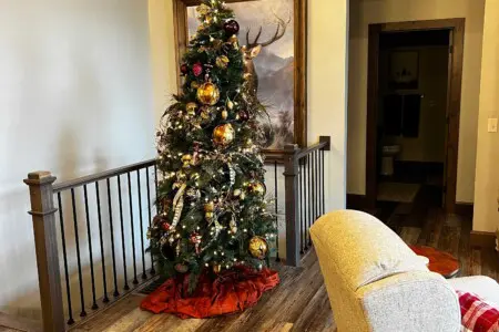 xg3nkcyro96ubkyvm6uz