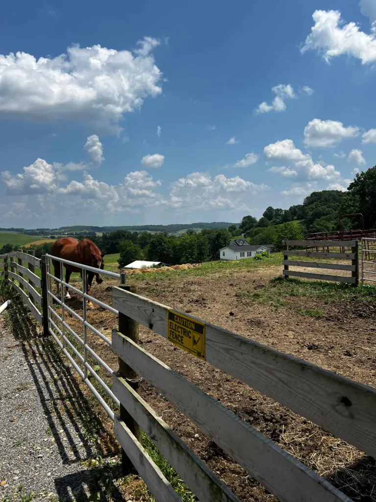 ll2cuscihva3qhhvgxbm