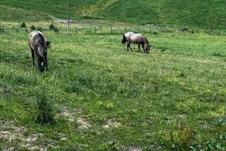 zkpncxovrij9tpzxoekc