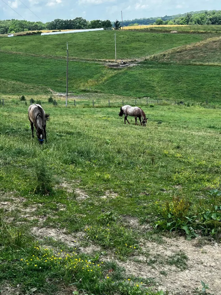 zkpncxovrij9tpzxoekc