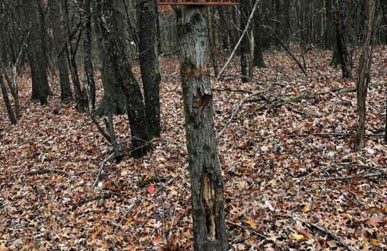 Hilton's Hideaway Hiking Paths