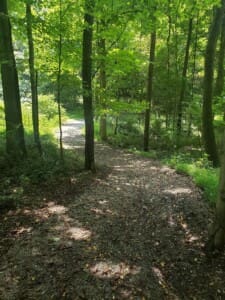 Crider Trail